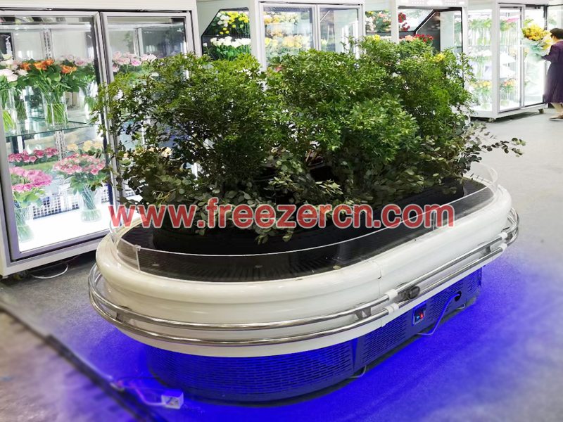 Single layer circular flower cooler refrigerator Single layer circular flower cooler refrigerator