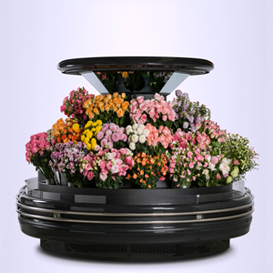 SG18YA-Arc Flower Cabinet
