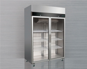 Double large glass door vertical refrigerator